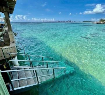 Boca Chica Other | Aguazul