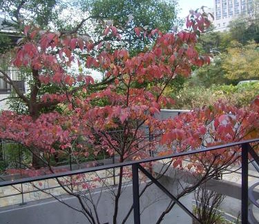Suita Bed & Breakfast | AH87 Osaka