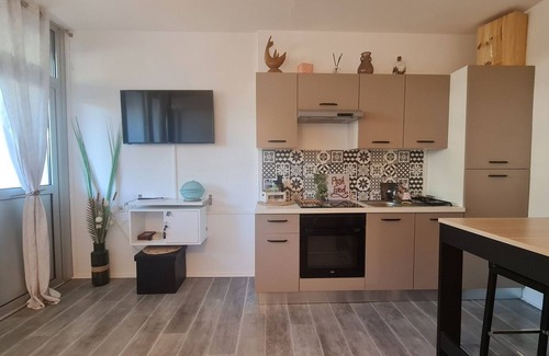 Le Grau-Du-Roi Apartment | Air-conditioned ground floor with terrace, between beach and port. Pets allowed