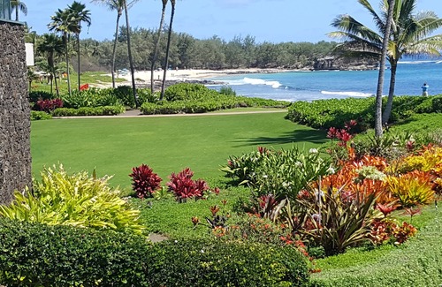 Bayview Apartment | Air conditioned, Resort Location. Short Walks To Beaches & Restaurants