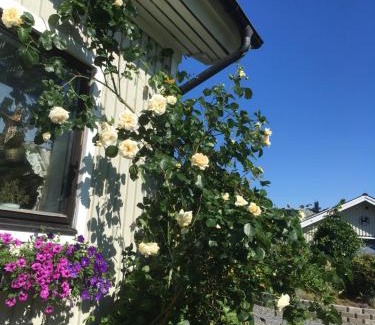 Olofstorp House | AirbnbEkåsberg