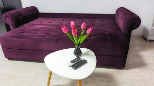Otopeni Apartment | Airport Apartment 70 squared meters