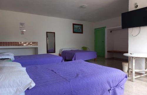 Alfredo V. Bonfil Bed & Breakfast | Airport Sleepy Inn