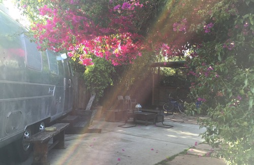Mar Vista House | AIRSTREAM backyard private glamping Mar Vista GATED yard outdoor HOT shower