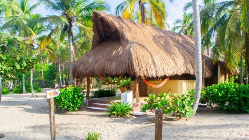 Palomino Hotel | Aite Eco Resort