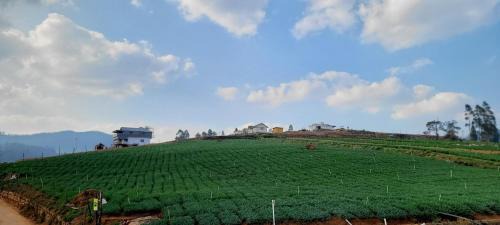Ooty Bed & Breakfast | AJ Groups B&B Residency