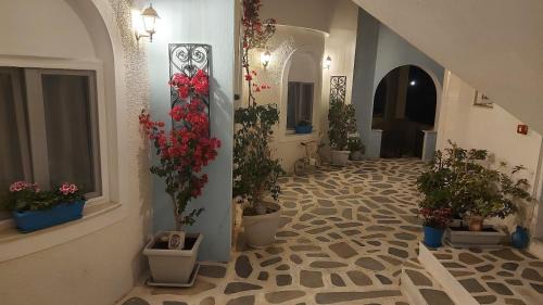 Logaras Hotel | Akteon Hotel