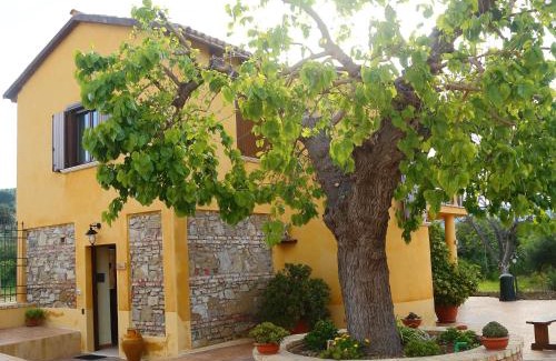 Cariati House | Al Grande Gelso