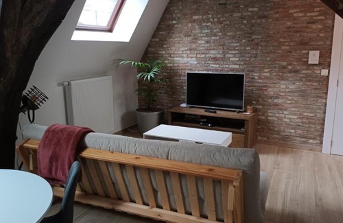 Mechelen Apartment | Al in den Aap gelogeerd?