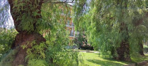 Borghetto Santo Spirito Apartment | Al Pepe Rosa di Borghetto