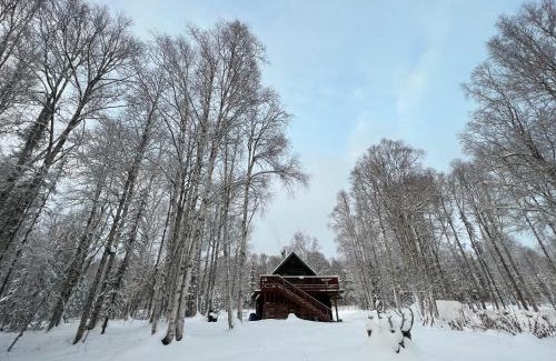 Susitna North House | Alaskan Wild Rose Retreat