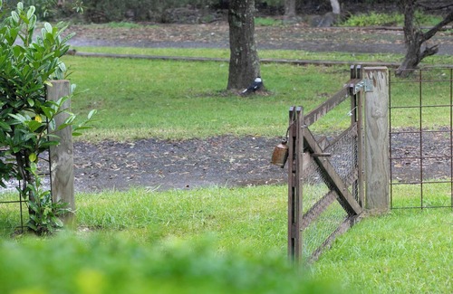 Bundanoon House | Alba Gardens, Alba Gardens of Bundanoon