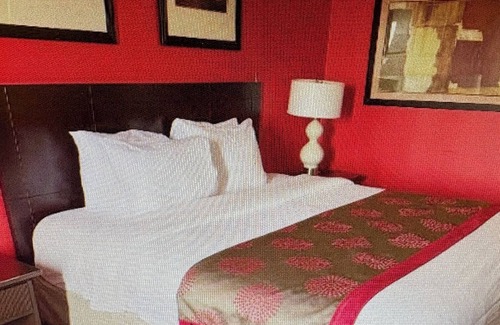 Albany Hotel | Albany Plaza Hotel