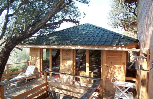 Oletta House | Albaria Lodge