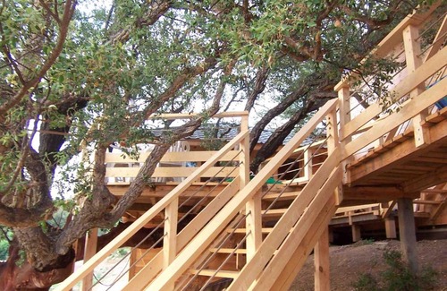 Oletta House | Albaria Lodge