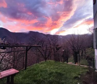 Castelluccio Hotel | Albergo Ristorante La Selva