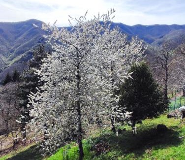 Castelluccio Hotel | Albergo Ristorante La Selva