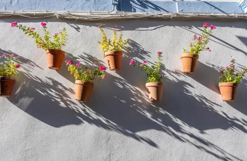 San Basilio Apartment | Alcazar y Mezquita a pie, barrio de San Basilio