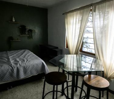 Zapopan Apartment | Alebrije Tequila House