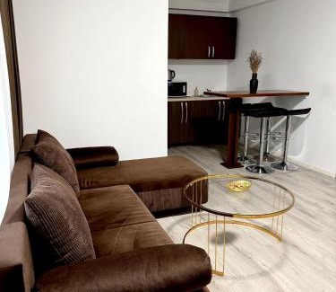 Techirghiol Apartment | Alexander Home