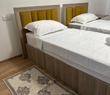 Sighetu Marmatiei Hotel | Alexandra Rooms For Rent