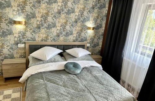 Sighetu Marmatiei Hotel | Alexandra Rooms For Rent