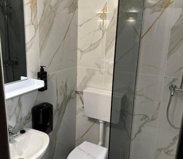 Sighetu Marmatiei Hotel | Alexandra Rooms For Rent