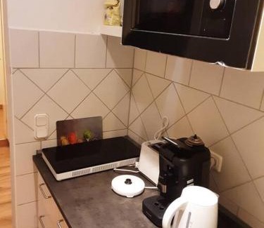 City Centre Regensburg Apartment | Alfred Second