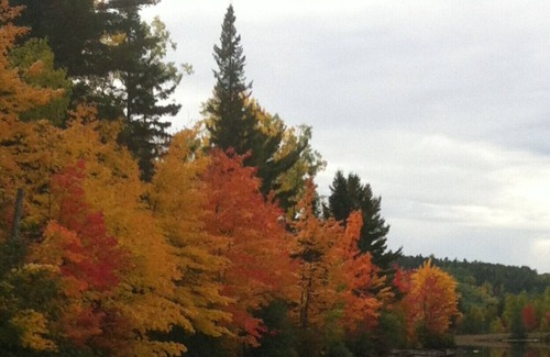 Madawaska Cottage | Algonquin Park Area Waterfront Cottage - Madawaska Ontario, Canada