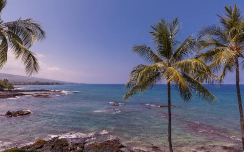 Kailua-Kona House | Ali'i Point Spacious and Private Oceanfont Villa with A/C