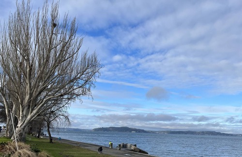 Alki Condo | Alki Beach View Villa