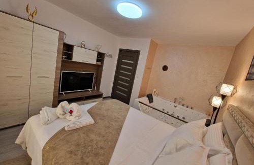 Petrosani Apartment | All In Jacuzzi Apartment