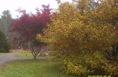 Wapwallopen RV Rental | ALL INCLUSIVE - GLAM CABIN, CAMPER, TENT CAMPING - SLEEPS 20 - BOOK NOW ~
