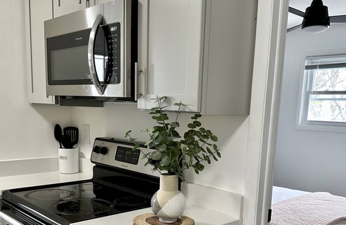 Troy Apartment | All New & Modern: 3 Bedroom, 1.5 Bath -CLOSE to RPI!