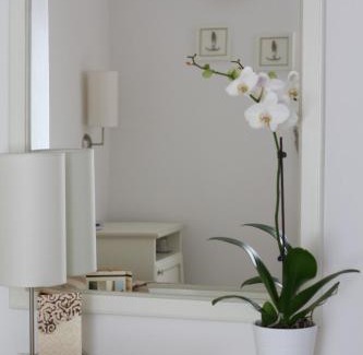 Castel Guelfo di Bologna Bed & Breakfast | Alla Corte Del Picchio Room & Breakfast