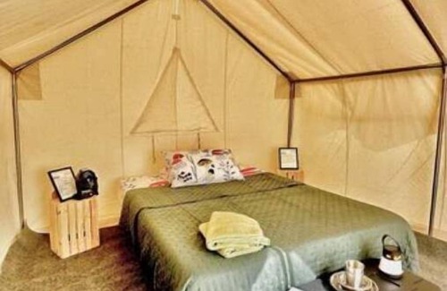 Spring Hill RV Rental | Allenbrooke Farms Glamping Tent 2