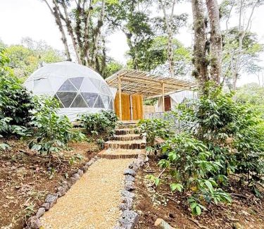 Xalapa Other | Alma Glamping