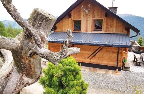 Stadl-Predlitz House | Almhütte Kristabauer