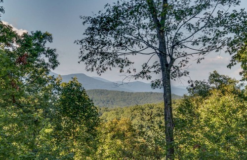 Saluda Cabin | Almost Haven | Located between Saluda and Tryon | 25 Min. to TIEC; Zip-lining, hiking & more!