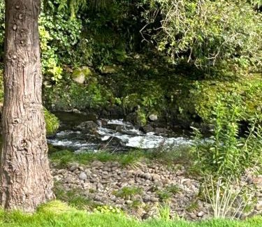 New Plymouth Bed & Breakfast | Almost Heaven BNB