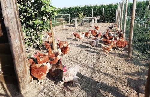 Fonalleras House | Alojamiento Rural Mas Pareta
