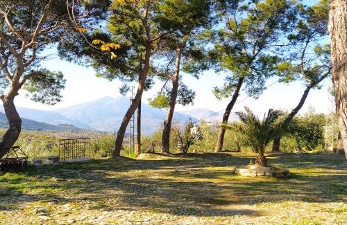 Jaen House | Alojamiento Rural Medios Panes