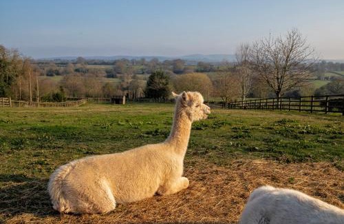Denstone House | Alpaca Cottage 7mins to Alton Towers