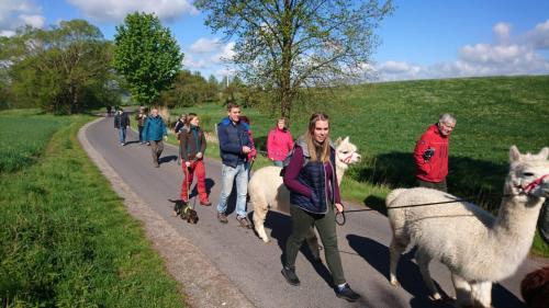 Moorgrund Other | Alpaka-Tipi-Park