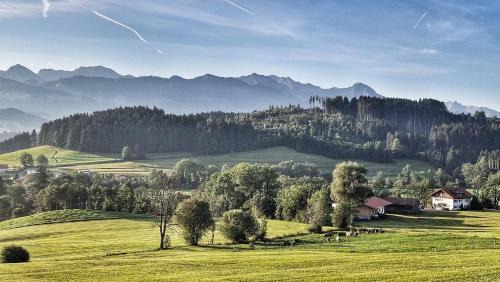 Huttenberg House | Alpe 44
