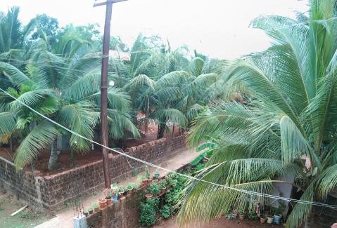 Honavar House | Alpha Homestay