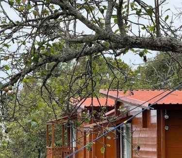 Kodaikanal House | Alphines View Wooden Cottages