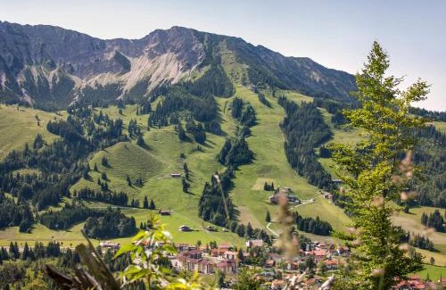 Oberjoch Cabin | Alpin Chalets Oberjoch - Luxus Unterkunft mit privatem SPA und Zugang zu 3000 qm SPA Panoramahotel Oberjoch