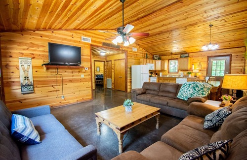 Board Camp Cabin | Alpine Lodge|18Acres|Creek|Swim|Hiking|ATV|Cabin
