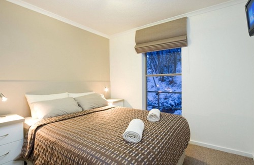 Falls Creek Apartment | Alpine View Apartments - 4 share, Superior Deluxe